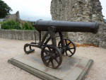 Cannon