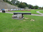 Cannon